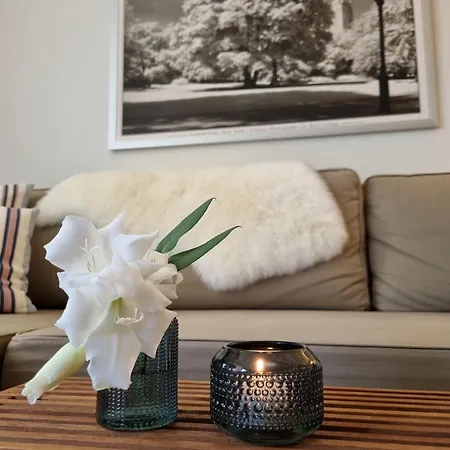 Strandapartment 蒂门多弗施特兰德